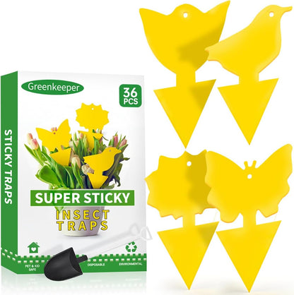36 Pcs Sticky Traps for Fungus Gnat, Fruit Fly, Whitefly, Yellow | Indoor/Outdoor Use, For Plants & Kitchen, High-End Glue, Insect Catcher