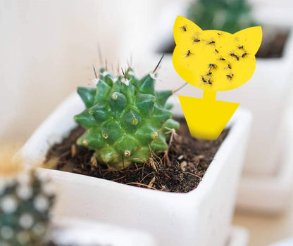 Solar Wasp Bee Trap, Outdoor Hanging LED Light Reusable Catcher for Outside | Brush Included, DIY Bait, Fits Hornet, Yellow Jacket, Wasp & Carpenter Bee, All-day Outdoor Use for Garden, Orchard & Farm