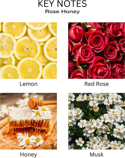 PEANÄK Reed Diffuser Set - Sandalwood Rose Fragrance 6.7oz (200 ml) - Real Preserved Flowers & 8 Reed Sticks for Bathroom Shelf Decor Home Diffuser & Office Scent with Long Lasting Gift Scent