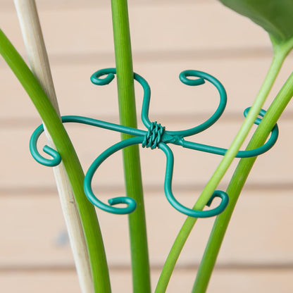 Yohsnor Monstera Plant Stem Support System - 5 Piece Set (5.5x4.7in) | Durable Plant Support Stakes for Climbing Plants & Fishbone Cactus | Ideal Leaf Stabilizer for Indoor Plants & Monstera Care