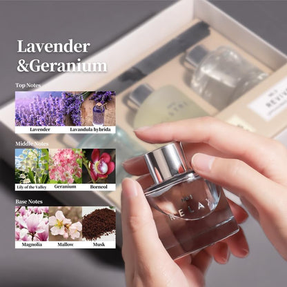 3 Pack Fragrance Reed Diffuser, 50ML Lavender Jasmine Lemongrass Aromatherapy Diffuser Set with 12 Black Fiber Sticks,Air Freshener for Bedroom Bathroom Office, 8.2X 6.6X 2.1 inch
