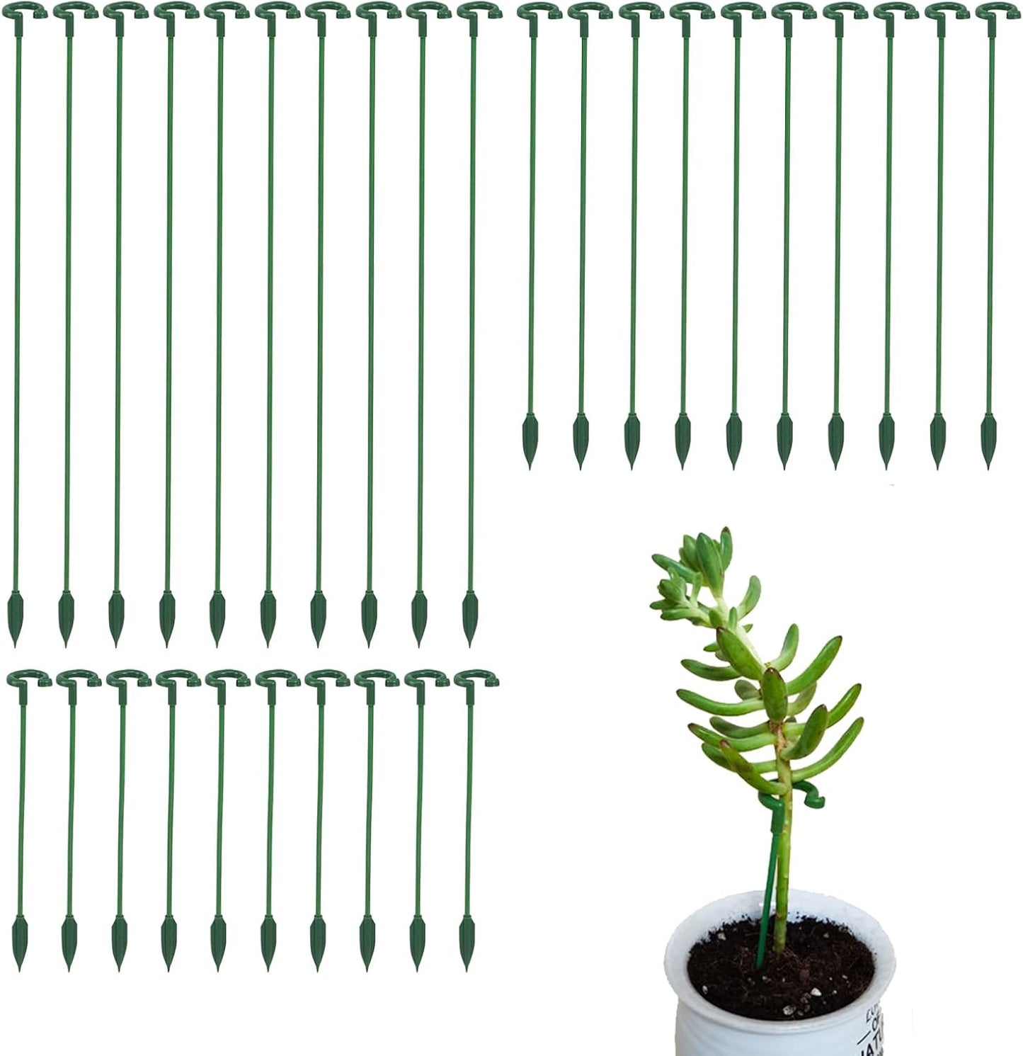 Pack of 30 Small Plant Stakes for Indoor Plants | 3 Size 6.7/10.7/14.6/ Inches Single Stem Plant Support Stakes for Phalaenopsis/Orchid Flower/Roses/Chrysanthemum/Succulent