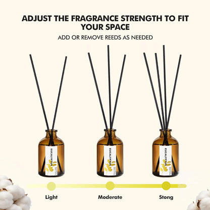 Reed Diffuser Set of 3, Eucalyptus, Linen & Lavender Scented Oil Diffusers with 15 Reeds, Long-Lasting Home Fragrance for Bedroom & Bathroom Decor, 1.7 fl oz Each, Total 5.1 oz