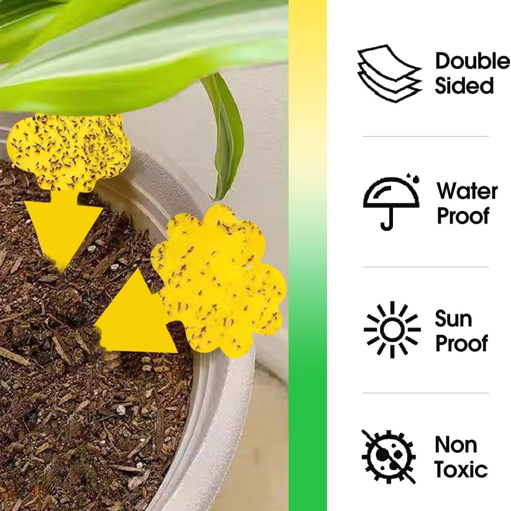 58 Pack Gnat Killer Sticky Traps for Plants - Green Fungus Gnat Sticky Trap for Indoor Houseplants, Fruit Fly, Whitefly, Aphid - Family Friendly Design, Flower/Cloud or Sunflower/Butterfly