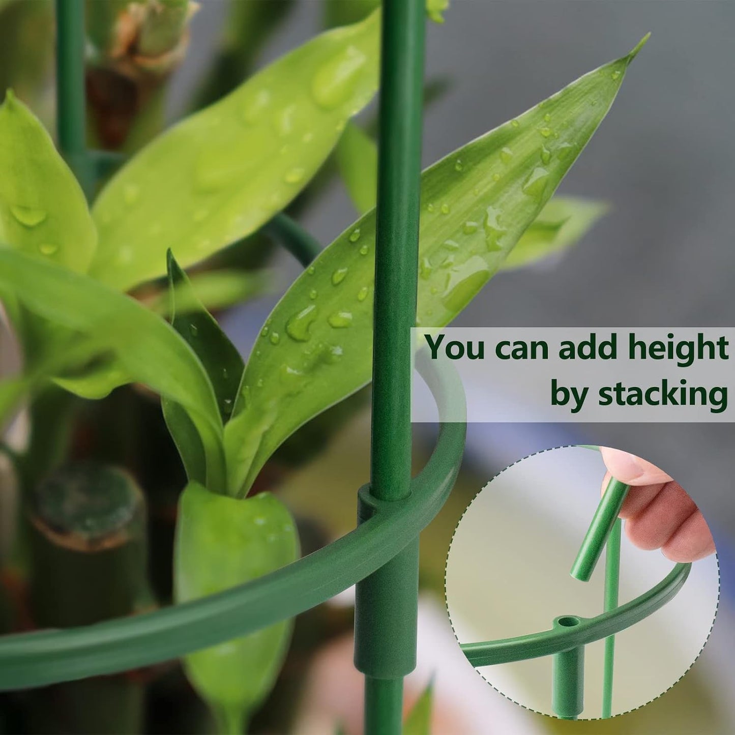 14Pcs Plant Support Stake Half Round Plant Support Ring Garden Flower Support for Tomato, Hydrangea, Indoor Plants, 6.3" Wide X 10.3" High
