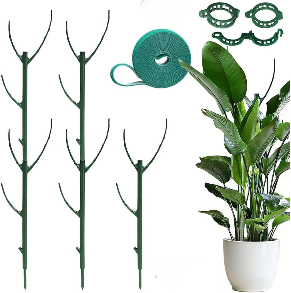 Stackable Plant Support Pothos Climber Support Vine Plant Sticks Stakes with Plant Clips and Plant Ties for Indoor Outdoor Vine Orchid, 5 Pack