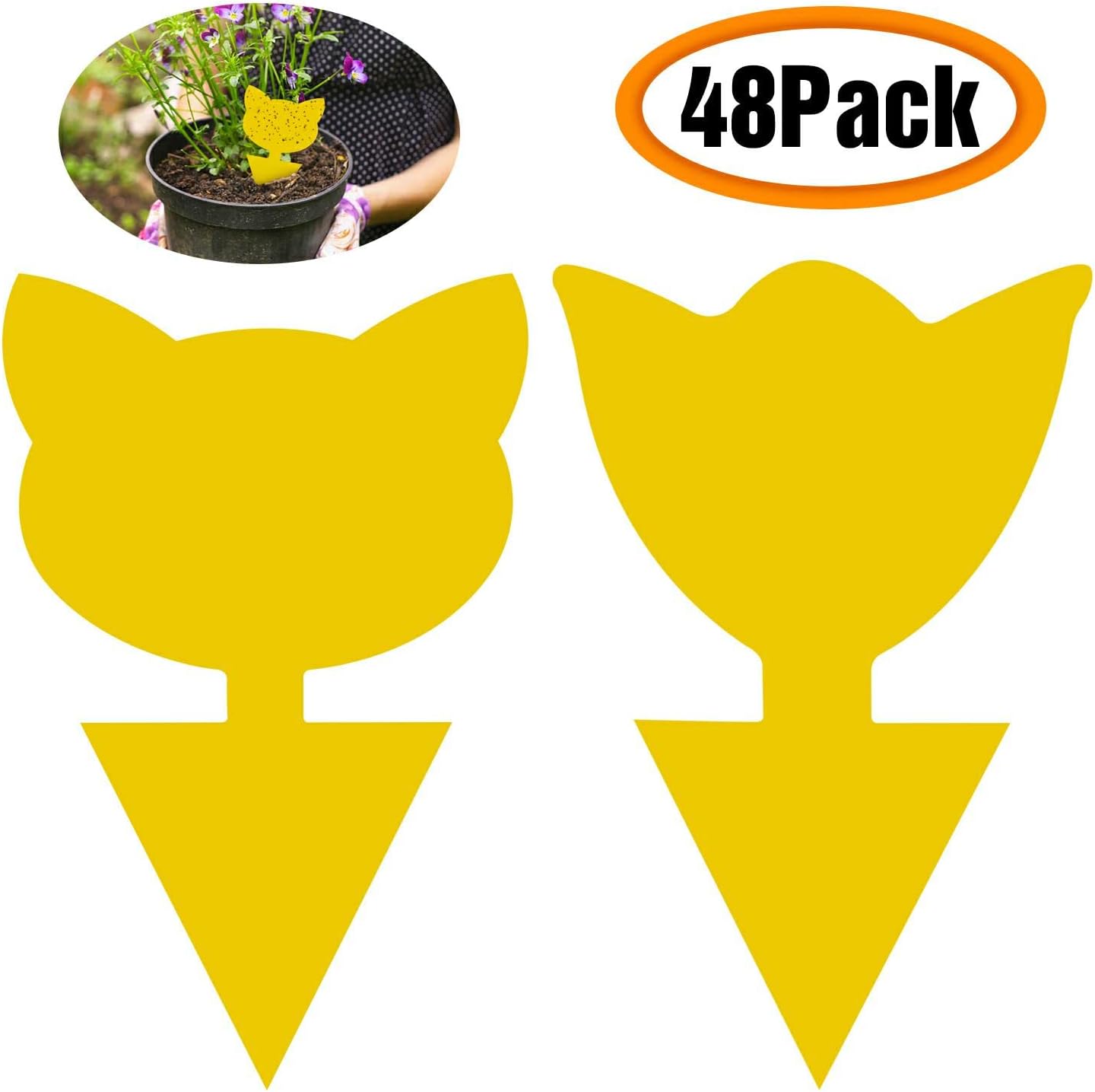 Solar Wasp Bee Trap, Outdoor Hanging LED Light Reusable Catcher for Outside | Brush Included, DIY Bait, Fits Hornet, Yellow Jacket, Wasp & Carpenter Bee, All-day Outdoor Use for Garden, Orchard & Farm