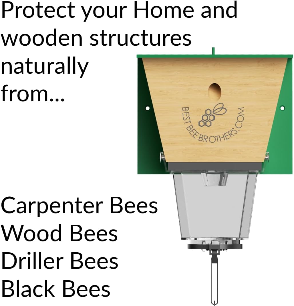 Best Bee Brothers Ultimate Pro Carpenter Bee Trap for Outside with Extra-Large, Clear External Receptacle, Internal Bee Vault & Spring-Loaded Door, 4.2” D x 5.8” W x 7.5” H (2 Pack)