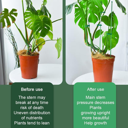 5Pcs Plant Stakes - Adjustable Length Plant Support Stake,with 10Pcs 360 °Rotating Buckle,for Indoor Outdoor,for Medium and Large Tomato Orchid Potted Plants Flower Support Rod