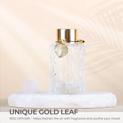 4-Piece Reed Diffuser Set with Metal Golden Decoration, 3.5-4.2oz Empty Bottles and 20 Reed Sticks, Unique Design for Home and Office (4 Different Bottles)