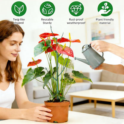 Stackable Plant Support Pothos Climber Support Vine Plant Sticks Stakes with Plant Clips and Plant Ties for Indoor Outdoor Vine Orchid, 5 Pack