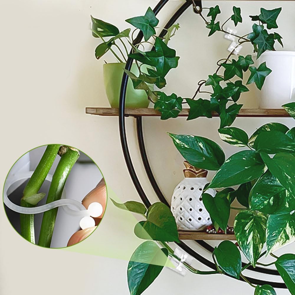 2026 New Self-Adhesive Vine Support Binding Clip Invisible Plant Fixation Hooks for Gardening,Plant Wall Clips for Climbing Plants, Wire Cable Storage Management，100pcs