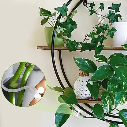 2026 New Self-Adhesive Vine Support Binding Clip Invisible Plant Fixation Hooks for Gardening,Plant Wall Clips for Climbing Plants, Wire Cable Storage Management，100pcs