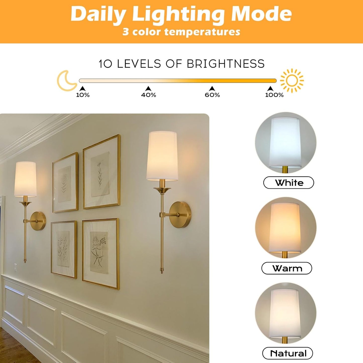 PASSICA DECOR Battery Operated Wall Sconce Set of 2 - Rechargeable Cordless Lights with Remote, Dimmable RGB Timer Wireless Sconces for Bedroom, Living Room, Hallway