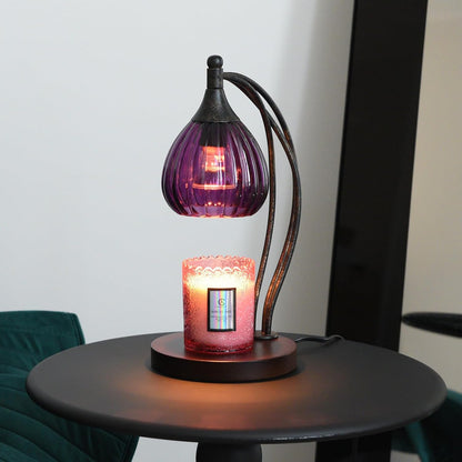 Candle Warmer Lamp with Timer Dimmer - Electric Light Wax Warmer for Jar Candles - Lamp with 2 Bulbs, Unique Birthday Gifts for Women Mom House Warming Gifts New Home Decor