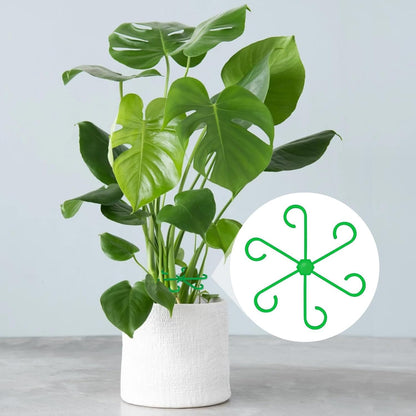 Brimoon 8pcs Plant Stem Support for Indoor Plants, 4 Sizes Reusable Monstera Plant Stem Stabilizer, Plant Stem Holder for Thriving Growth