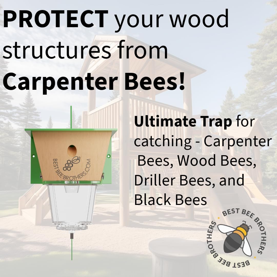 Best Bee Brothers Ultimate Carpenter Bee Trap for Outside | Large Clear External Receptacle, Internal Bee Vault, Spring-Loaded Door, 5.75" L x 6" W x 4.5" H