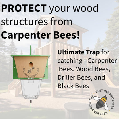 Best Bee Brothers Ultimate Carpenter Bee Trap for Outside | Large Clear External Receptacle, Internal Bee Vault, Spring-Loaded Door, 5.75" L x 6" W x 4.5" H