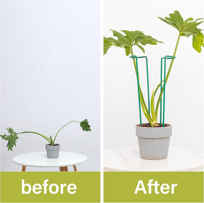 10 Pack Indoor Plant Support for Monstera Trellis Stakes and Stem Holder - Perfect for Small Indoor Plants, Desktop Gardens & Flower Shelf Use, Easy to Set Up and Efficient Support
