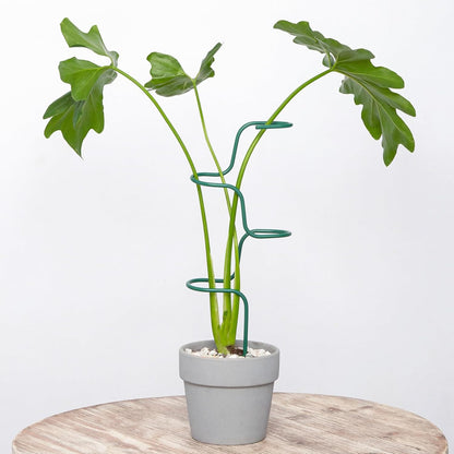 3PCS Indoor Plant Support – Durable Metal Garden Stakes for Monstera, Flowers & Herbs – 12.6 Inch Trellis for Indoor & Outdoor Plants, Easy-to-Use Support Structures