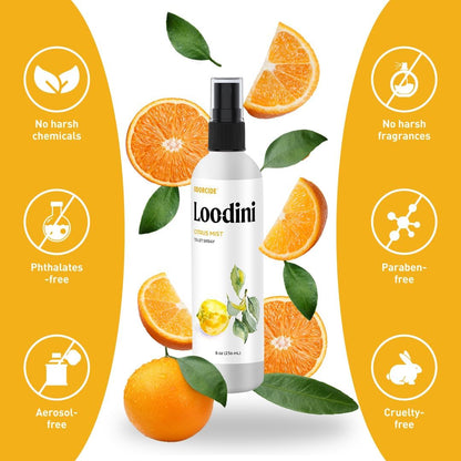 Odorcide Loo-Dini Lavender Vanilla 8oz Toilet Spray & Bathroom Spray – Use This Bathroom Spray Odor Eliminator Before You Go – Poop Spray For Toilet and Bathroom Air Freshener & Bathroom Deodorizer