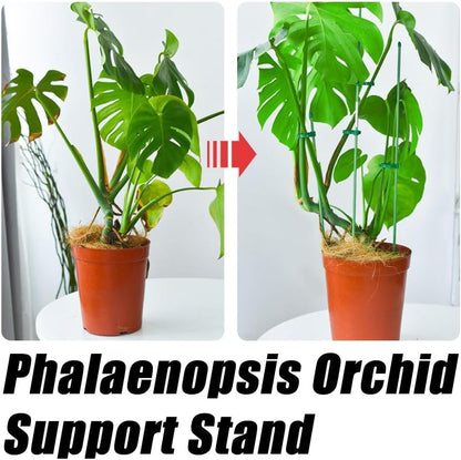 5Pcs Plant Stakes - Adjustable Length Plant Support Stake,with 10Pcs 360 °Rotating Buckle,for Indoor Outdoor,for Medium and Large Tomato Orchid Potted Plants Flower Support Rod
