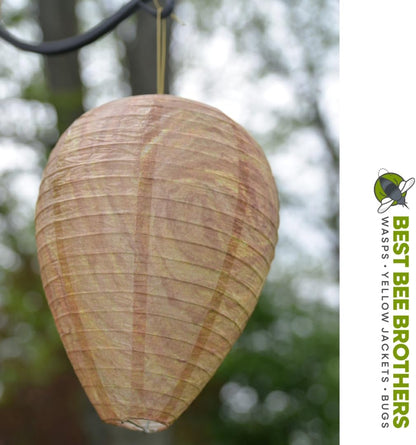 Best Bee Brothers Wasp Nest Decoy, 2 Pack | Collapsible, Fake Wasp Nest, Deterrent for Wasps and Yellowjackets