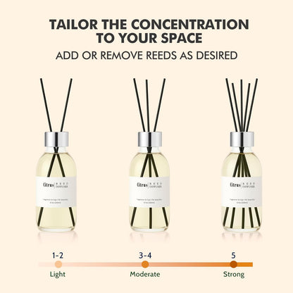 Clesh Reed Diffuser Set, 6.7 oz Eucalyptus Scented Diffuser with Sticks, Home Fragrance Reed Diffuser for Bathroom Shelf Decor