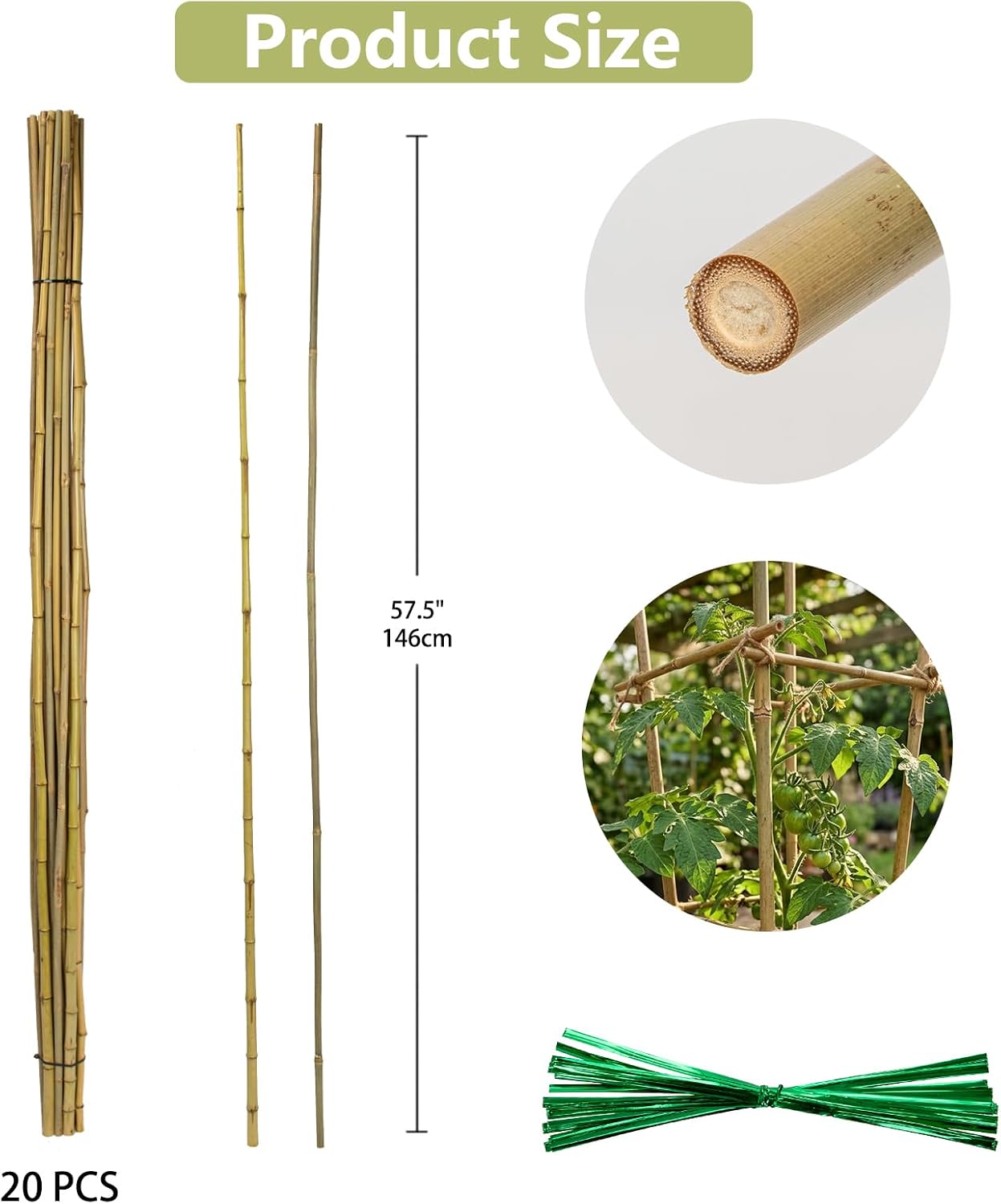 Plant Stakes Natural Bamboo Sticks - 30 Pcs Bamboo Garden Stakes for Plants 4.8 FT Plant Support Sticks with Twist Ties for Tomatoes Beans Flowers Indoor Outdoor Potted Climbing Plants