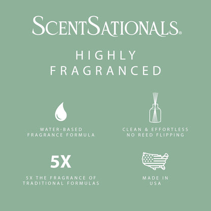 ScentSationals Water-Based Reed Diffuser - Eucalyptus & Sea Salt - 5 FL OZ Aromatherapy Reed Diffuser
