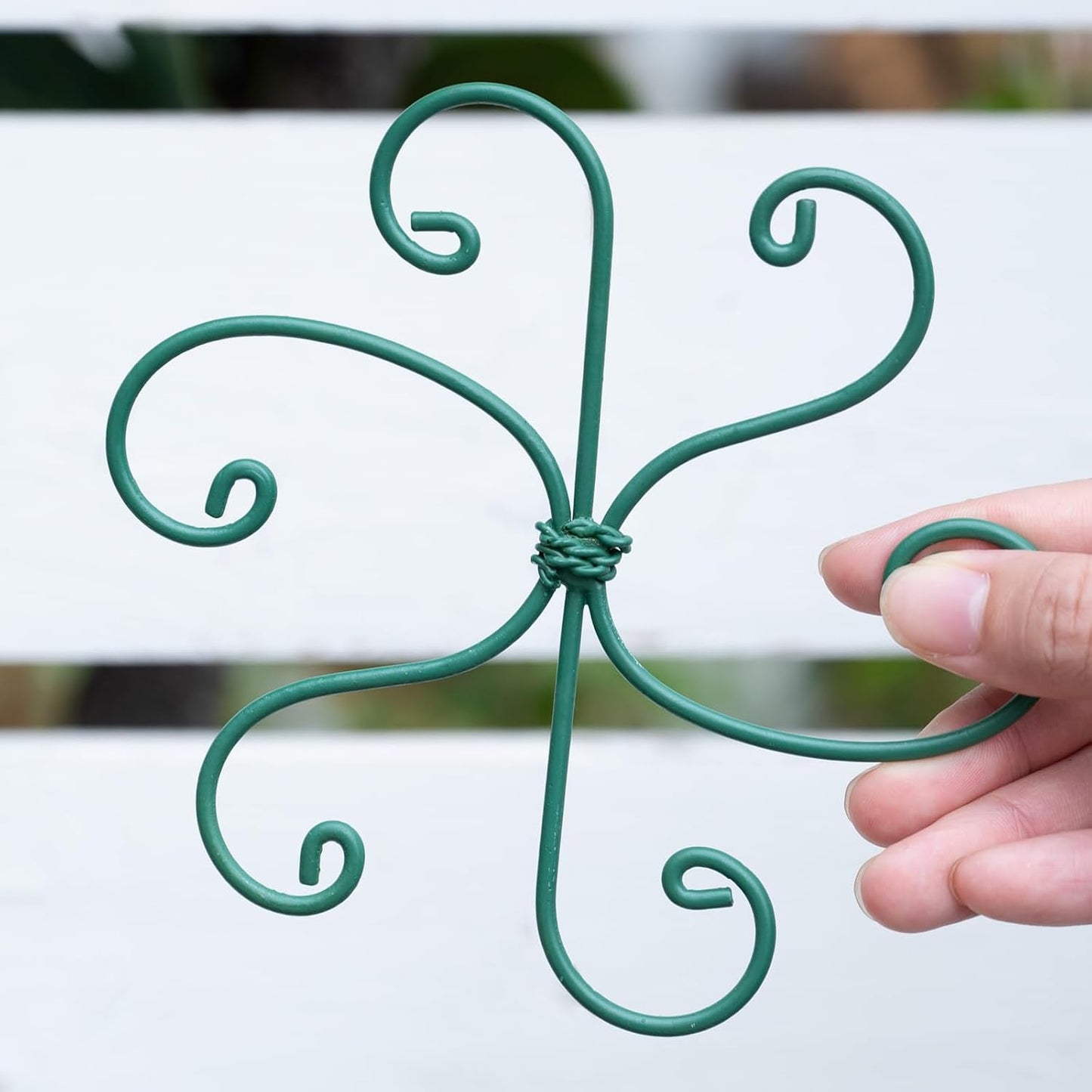 Yohsnor Monstera Plant Stem Support System - 5 Piece Set (5.5x4.7in) | Durable Plant Support Stakes for Climbing Plants & Fishbone Cactus | Ideal Leaf Stabilizer for Indoor Plants & Monstera Care
