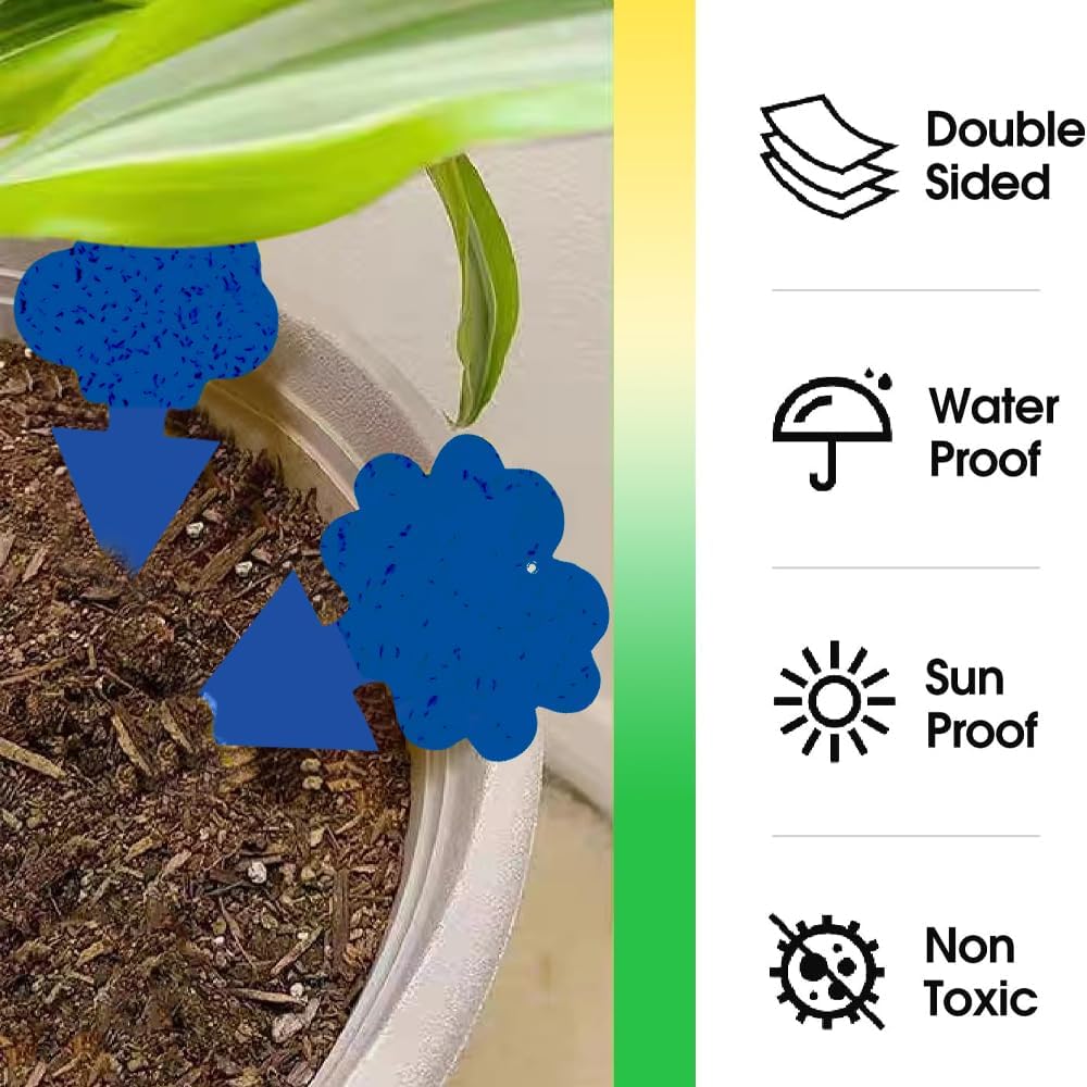 58 Pack Gnat Killer Sticky Traps for Plants - Green Fungus Gnat Sticky Trap for Indoor Houseplants, Fruit Fly, Whitefly, Aphid - Family Friendly Design, Flower/Cloud or Sunflower/Butterfly