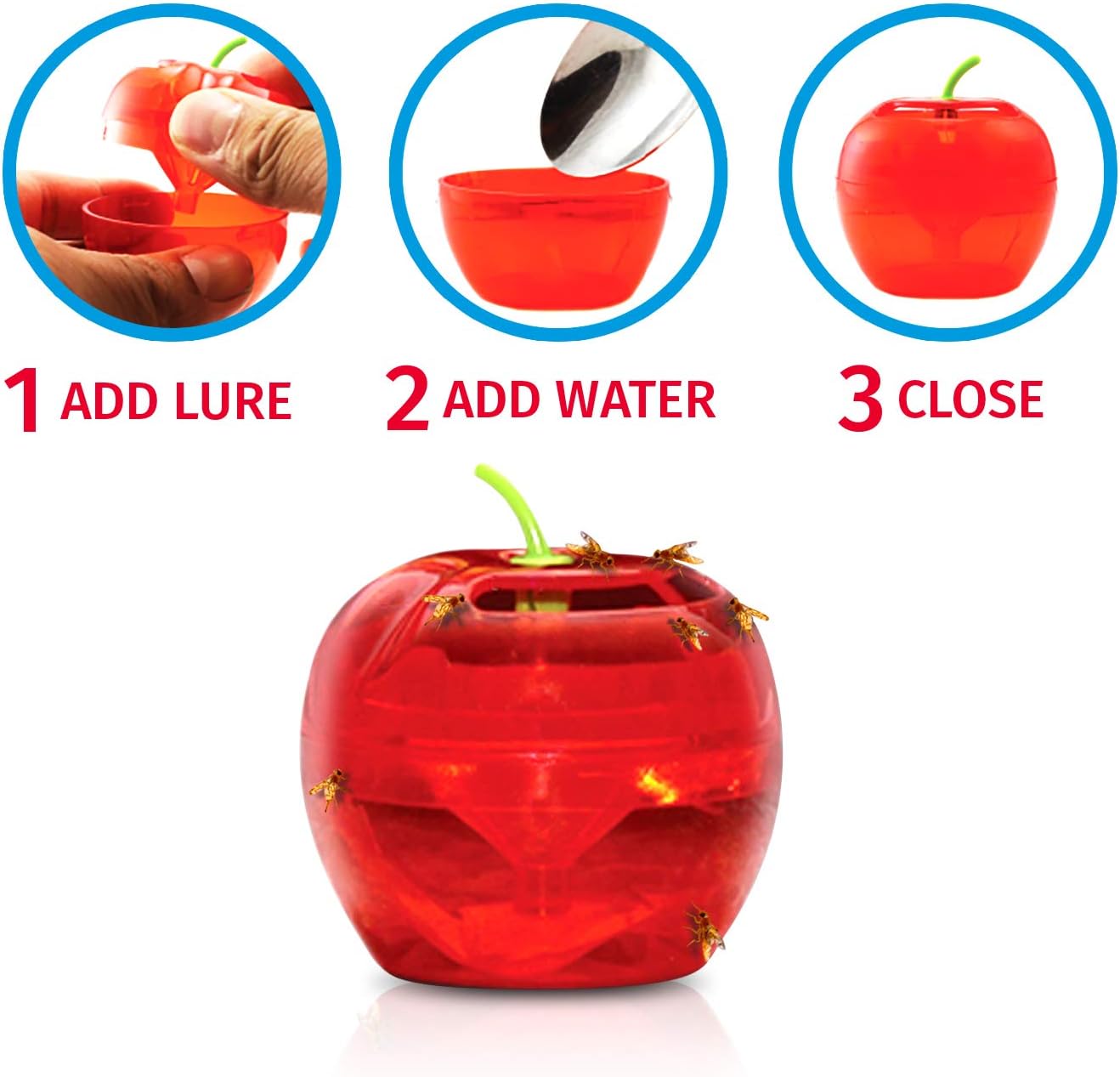 Fruit Fly Traps for Indoors by Raid | 2 Lures + 2 Refills | Effective Fruit Fly Killer & Gnat Traps for House Indoor Use | Easy to Use & Safe Food-Based Lure Fly Catcher