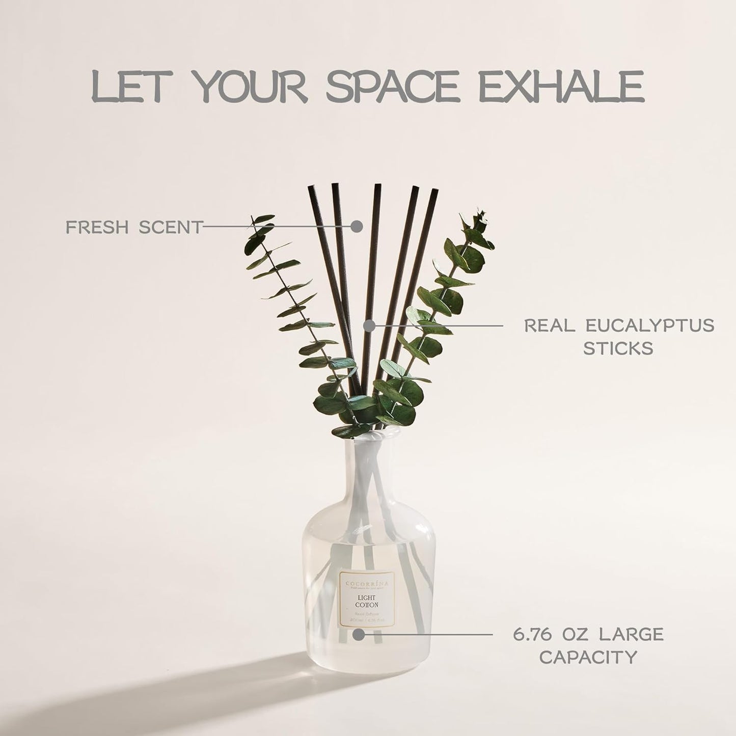 COCORRÍNA Wild Mint & Eucalyptus Reed Diffuser – 6.76 oz Essential Oil with 8 Reeds & Real Eucalyptus Sticks, Home Fragrance for Bedroom or Bathroom Décor