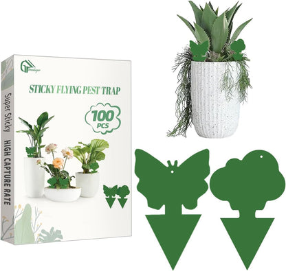 36 Pcs Sticky Traps for Fungus Gnat, Fruit Fly, Whitefly, Yellow | Indoor/Outdoor Use, For Plants & Kitchen, High-End Glue, Insect Catcher