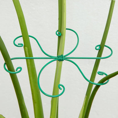 Yohsnor Monstera Plant Stem Support System - 5 Piece Set (5.5x4.7in) | Durable Plant Support Stakes for Climbing Plants & Fishbone Cactus | Ideal Leaf Stabilizer for Indoor Plants & Monstera Care