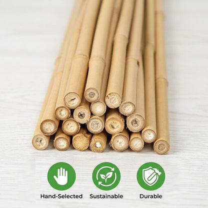 Plant Stakes Natural Bamboo Sticks - 30 Pcs Bamboo Garden Stakes for Plants 4.8 FT Plant Support Sticks with Twist Ties for Tomatoes Beans Flowers Indoor Outdoor Potted Climbing Plants
