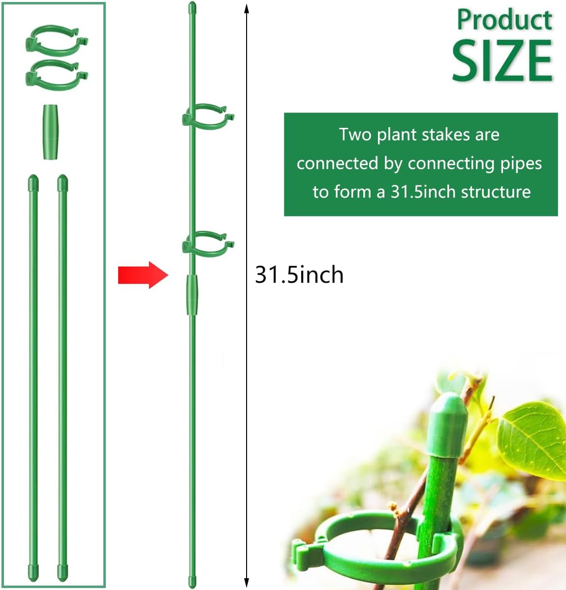 Belit 8 Pack Small Plant Support Plant Stakes, Garden Flowers Green Plant Support Ring, Planter Support Ring for Schlumbergera, Clivia, Vegetables, 5.5" Wide x 9.8" High