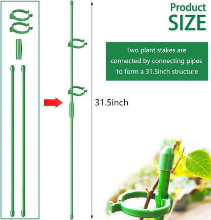 Belit 8 Pack Small Plant Support Plant Stakes, Garden Flowers Green Plant Support Ring, Planter Support Ring for Schlumbergera, Clivia, Vegetables, 5.5" Wide x 9.8" High