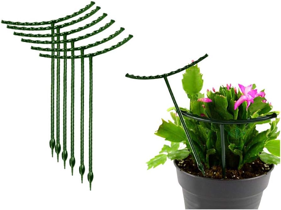 Belit 8 Pack Small Plant Support Plant Stakes, Garden Flowers Green Plant Support Ring, Planter Support Ring for Schlumbergera, Clivia, Vegetables, 5.5" Wide x 9.8" High