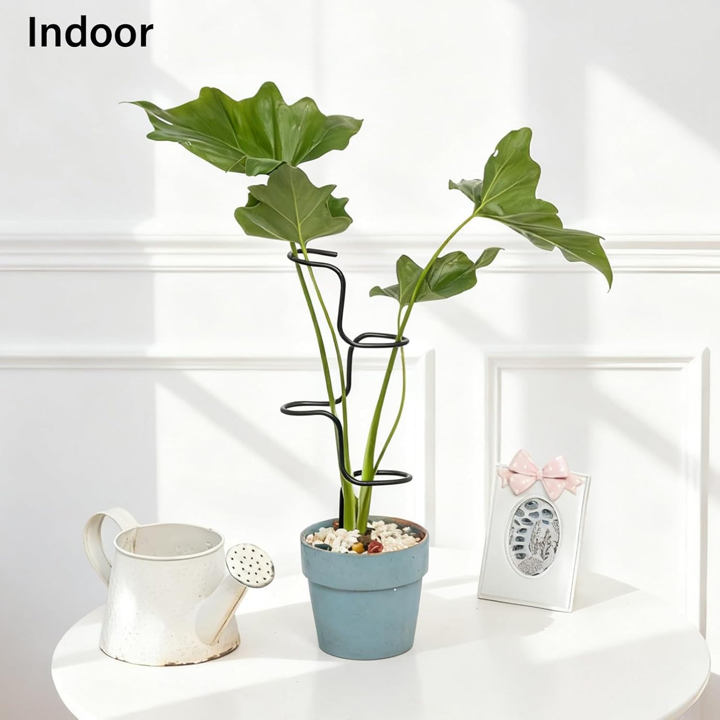 3PCS Indoor Plant Support – Durable Metal Garden Stakes for Monstera, Flowers & Herbs – 12.6 Inch Trellis for Indoor & Outdoor Plants, Easy-to-Use Support Structures