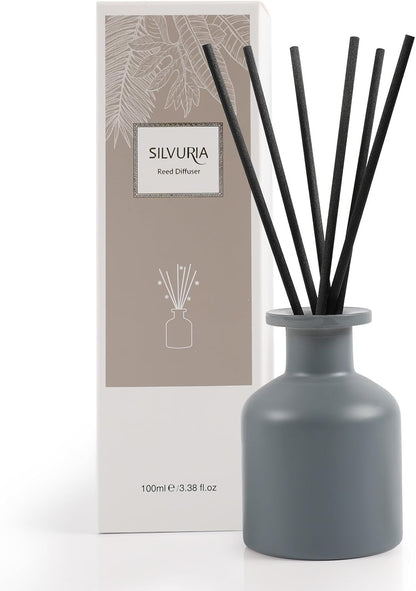 Reed Diffuser Set,Ocean Mist & Sea Salt Fragrance,100ml(3.38 fl.oz) with 6 Reed Sticks,Long-Lasting Oil Diffuser for Home,Office,Bathroom,Flame Free