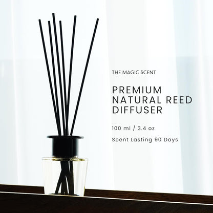 The Magic Scent Mahogany & Teakwood Reed Diffuser for Home - Luxury Scent Diffuser with Premium Fiber Reeds for Lasting Gentle Dispersal - Natural, Toxin-Free Aroma Inspired by Ambercrombie & Fitch