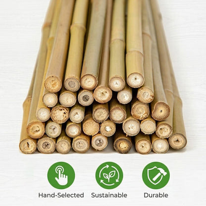 Plant Stakes Natural Bamboo Sticks - 30 Pcs Bamboo Garden Stakes for Plants 4.8 FT Plant Support Sticks with Twist Ties for Tomatoes Beans Flowers Indoor Outdoor Potted Climbing Plants