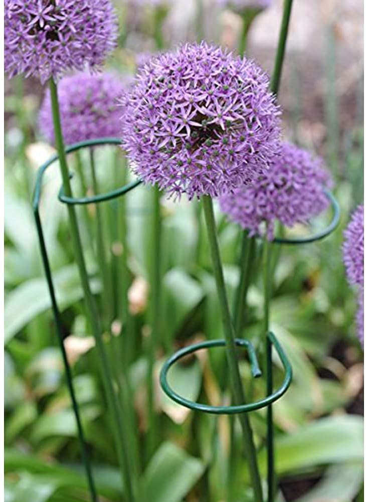 24 Inches Single Stem Plant Support Stakes Steel Garden Stakes Plant Atem Support, Pack of 20