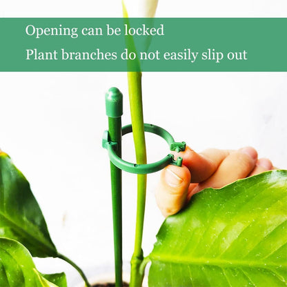 Belit 8 Pack Small Plant Support Plant Stakes, Garden Flowers Green Plant Support Ring, Planter Support Ring for Schlumbergera, Clivia, Vegetables, 5.5" Wide x 9.8" High