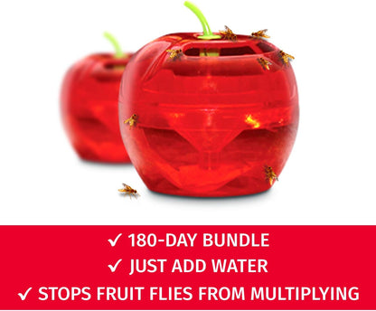 Fruit Fly Traps for Indoors by Raid | 2 Lures + 2 Refills | Effective Fruit Fly Killer & Gnat Traps for House Indoor Use | Easy to Use & Safe Food-Based Lure Fly Catcher