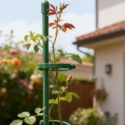 5Pcs/Set Plants Support Pole Reusable Potted Flower Vegetables Stem Fixing Holder Indoor Garden Plant Support Accessories (Smal,29.8 * 4cm)