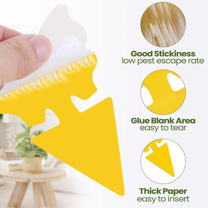 200 Sheets Fruit Fly Sticky Traps for Fruit Fly Gnat Trap for House Indoors Sticky Traps Catcher for Gnats Fungus Gnats Mosquito Catcher for Kitchen Outdoor Plants(Yellow)