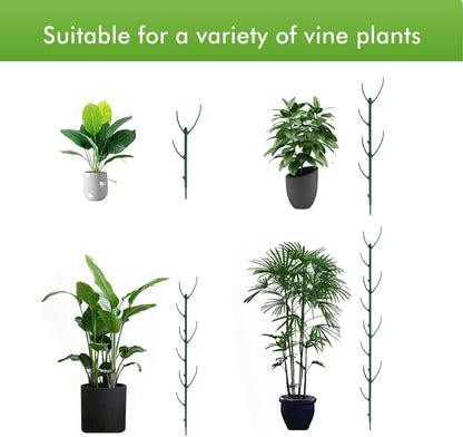 Stackable Twig, 5 Pack Plant Support Frame & Plant Cage Support Rings for Sphagnum, Twig Trellis for Indoor Outdoor Plants Potted Plants Flower Other Climbing Plants